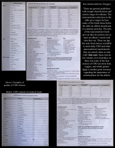 ASE Nutrition Post_Week 2 3of4